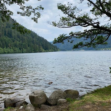 Charmant Chalet, Spacieux, Proche Du Lac, Vue Sur La Montagne Gérardmer Exterior foto