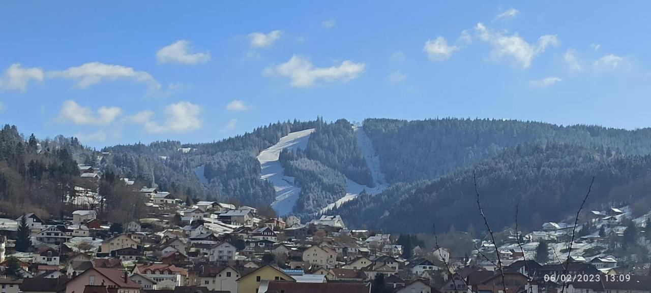 Charmant Chalet, Spacieux, Proche Du Lac, Vue Sur La Montagne Gérardmer Exterior foto
