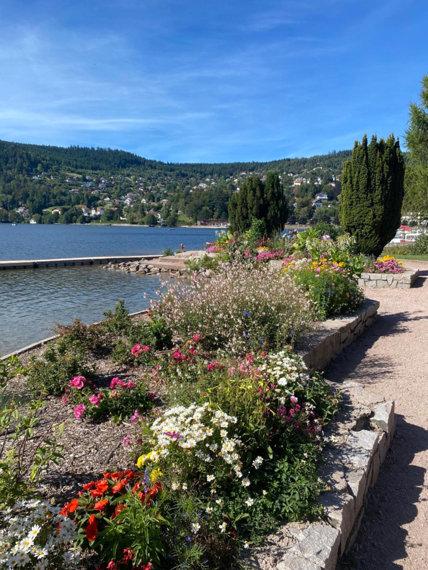 Charmant Chalet, Spacieux, Proche Du Lac, Vue Sur La Montagne Gérardmer Exterior foto