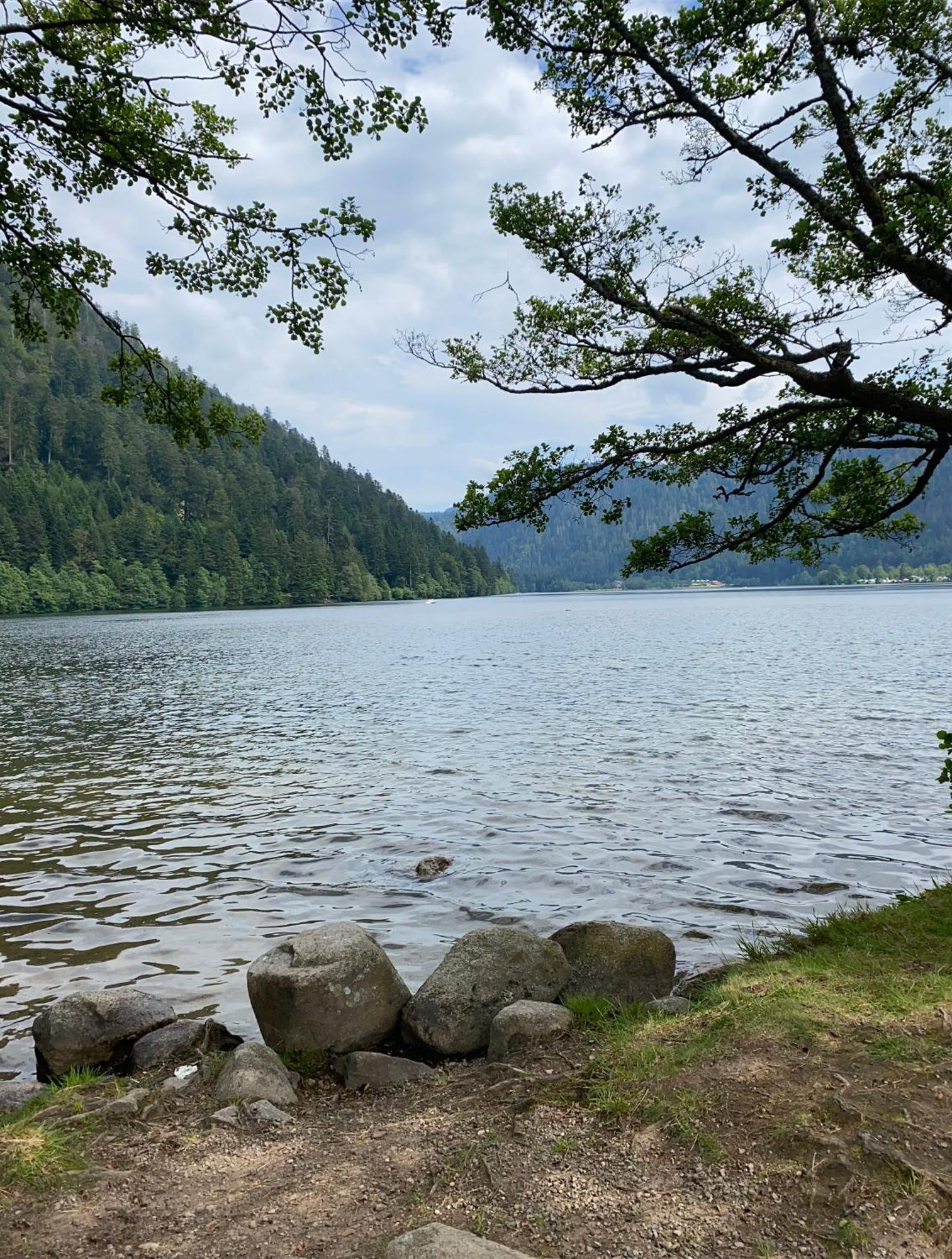 Charmant Chalet, Spacieux, Proche Du Lac, Vue Sur La Montagne Gérardmer Exterior foto